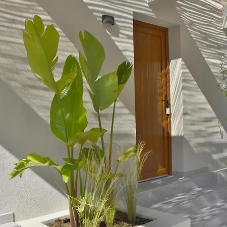 Swell Living Double Apartmán Asproválta